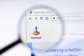 Rabobank opgelicht voor €850.000 door bankmedewerker