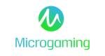Microgaming hero image